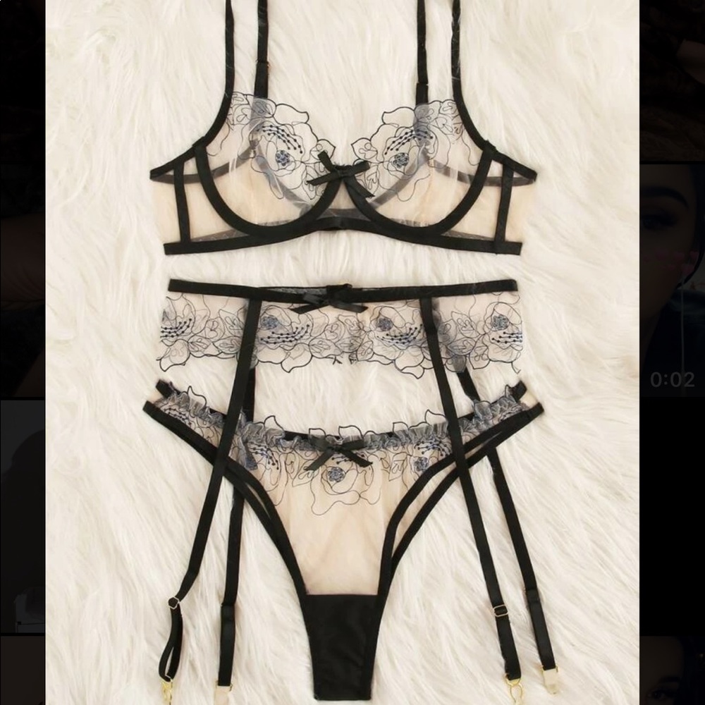 NWT💗Sheer Lingerie Set